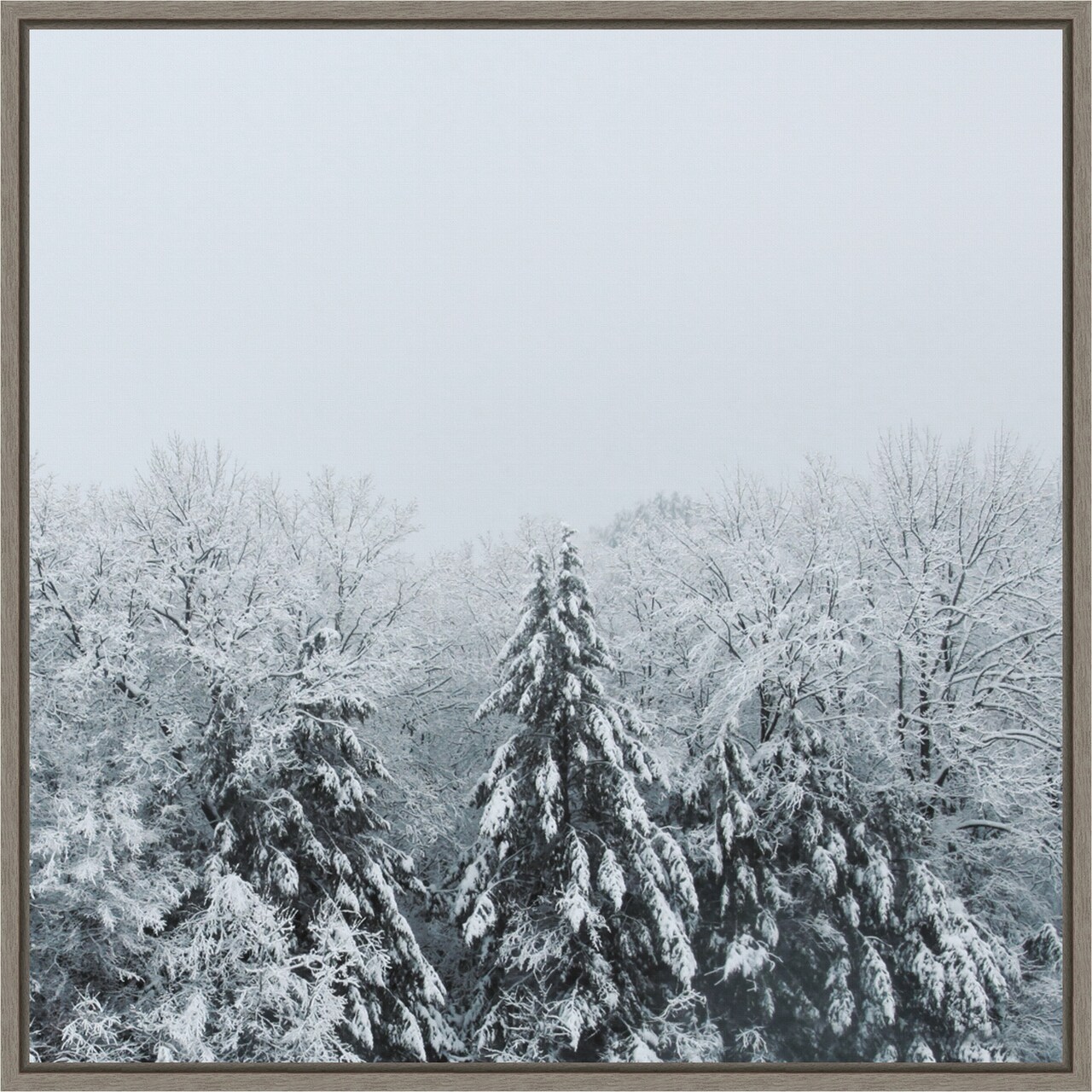 Snowshoe Hill and Trees by Sue Schlabach 30-in. W x 30-in. H. Canvas Wall Art Print Framed